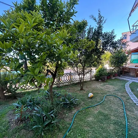 Onis Sea View Daire